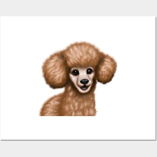 Cute Poodle Drawing Posters and Art